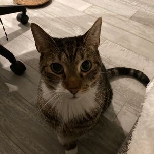 Meet your Posher, Kim